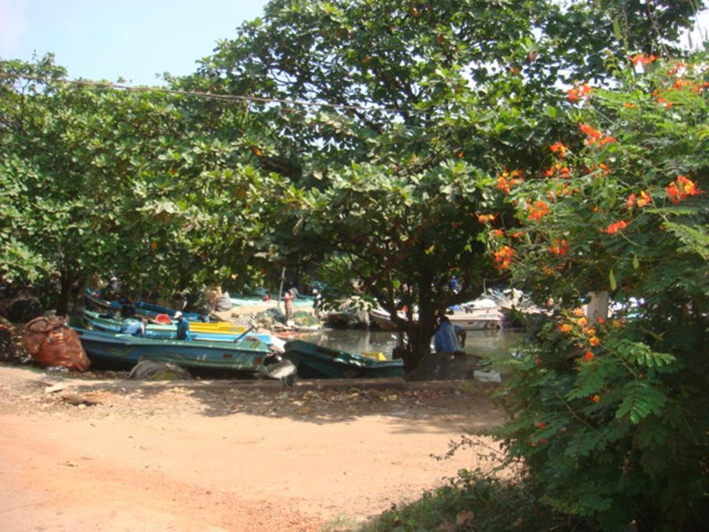 Randi Homestay In نيجومبو المظهر الخارجي الصورة
