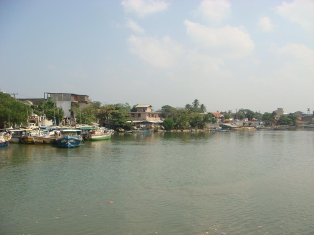 Randi Homestay In نيجومبو المظهر الخارجي الصورة