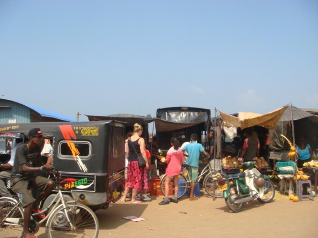 Randi Homestay In نيجومبو المظهر الخارجي الصورة